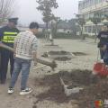 植綠護綠正當時，校園添彩育新苗 ——隨縣萬和鎮(zhèn)義陽小學開展生態(tài)實踐活動