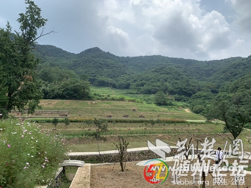 隨縣柳林鎮(zhèn)變荒山為旅游景點(diǎn) 走進(jìn)明月谷精品名宿